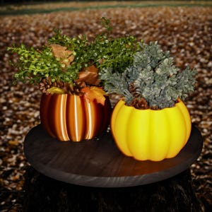May include: Two pumpkin-shaped planters, one orange and one yellow, sit on a dark wooden surface. The orange planter holds green foliage, fall leaves, and pinecones. The yellow planter contains gray-green foliage and pinecones. The background is blurred.