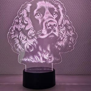 Night light, Led, lamp, decoration, animal night light, children, gift, personalized, birth, love,
