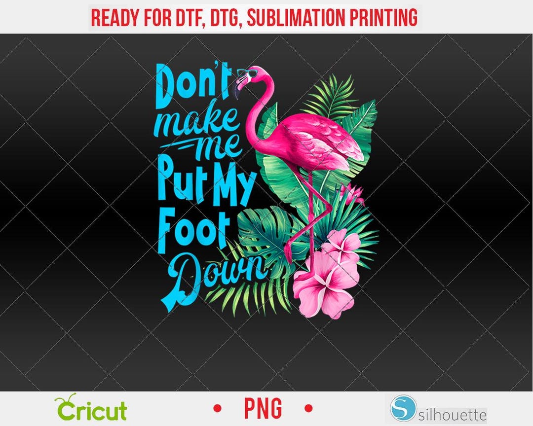 Pink Flamingo Don't Make Me Put My Foot Down Funny Bird PNG, DTF