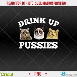 Drick upp fittor rolig katt pappa dricker vuxen humor ordstäv PNG, DTF, sublimeringsdesign