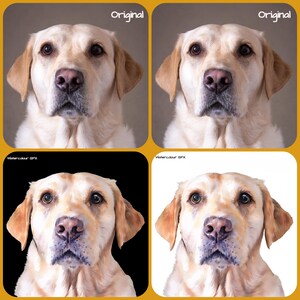Retrato digital de mascotas. Transforma la foto original de tu mascota en un GFX en ACUARELA (mira un ejemplo). ¡Envía el archivo digital a tu bandeja de entrada!