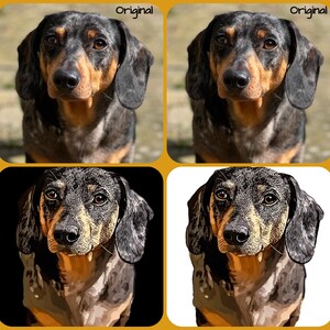 Retrato digital de mascotas. Transforma la foto de tu mascota de original a CARTOON GLX2 (mira un ejemplo). ¡Archivo digital en tu bandeja de entrada!