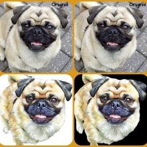 Digital Pet Portrait. Transform you pet photo from original to IMPRESSIONIST - see example. Digital File to your inbox!
