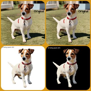 Digital Pet Portrait. Transform you pet photo from original to OIL PAINTING IMPASTO Gfx - see example. Digital File to your inbox!