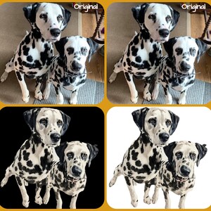 Retrato digital de mascotas. Transforma la foto original de tu mascota en una fotografía en ACUARELA GFX2 (mira el ejemplo). ¡Envía el archivo digital a tu bandeja de entrada!