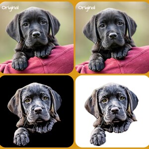 Digital Pet Portrait. Transform you pet photo from original to VECTOR PAINTING - see example. Digital File to your inbox!