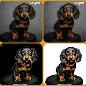 Digital Pet Portrait. Transform you pet photo from original to OIL PAINTING DLX - see example. Digital File to your inbox!