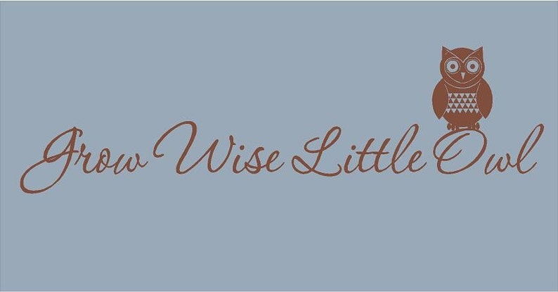 Grow Wise Little Owl 44x11 Vinyl Wall Lettering Words Quotes Decals Art Custom
