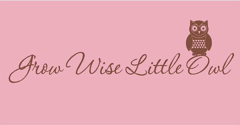 Grow Wise Little Owl 44x11 Vinyl Wall Lettering Words Quotes Decals Art Custom