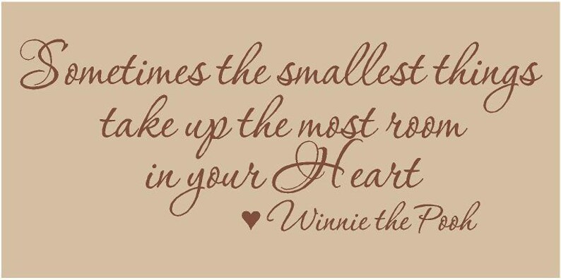 Sometimes the Smallest Things Take up the Most Room in Your Heart WINNIE THE POOH 36x14 Vinyl Wall Lettering Words Quotes Decals Art Custom image 1