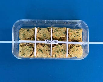 Personalized Fresh Dog Food Cutter – Portion Control Tool for 4 or 8 Equal Meals | Dog Meal Prep Compatible with Farmer’s Dog