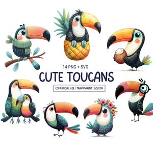 Grillige schattige toekan clipart png en SVG-bundel – eigenzinnige bos jungle vogels illustraties voor sublimatie, knutselen, commercieel gebruik