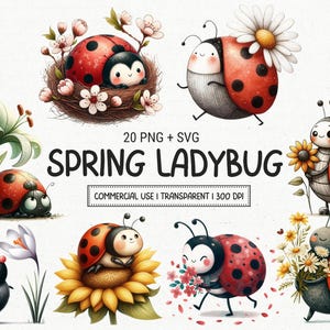 Imágenes prediseñadas de mariquitas primaverales (PNG y SVG): 20 insectos de jardín originales con flores, arte de insectos caprichoso, descarga digital para manualidades