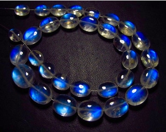 May include: A strand of oval-shaped moonstone beads with a blue iridescent sheen. The beads are strung on a clear thread and are arranged in a circular pattern.