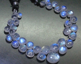 AAA -so gorgeous - huge size 12 - 5 mm - rainbow moonstone - smooth heart briolett full flashy fire 35 pcs great quality great price