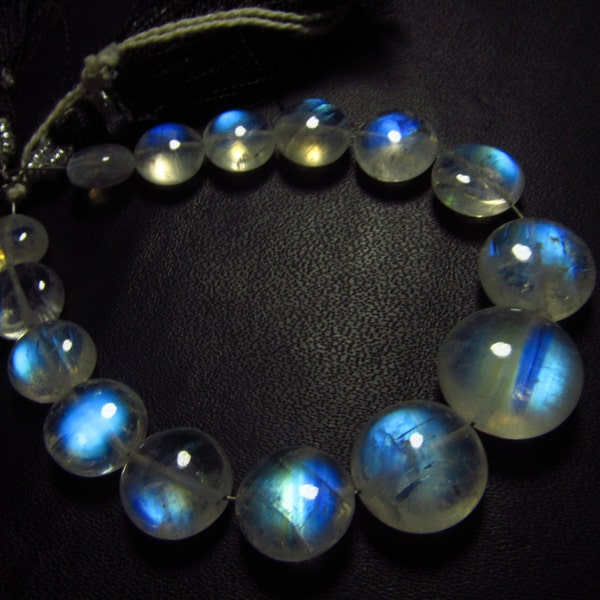 AAAA - Gorgeous High Quality Rainbow MOONSTONE - Smooth Polished Coin Shape Briolett Full Blue Flashy Fire Huge Size - 7 - 11.5 mm - 15 pcs