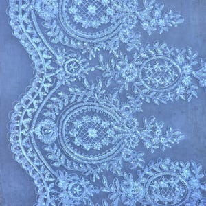 May include: White lace fabric with a delicate floral pattern. The lace features intricate details and a light blue background.