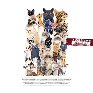 猫の品種のコラージュ、猫のプリント、手描きの猫のポスター、黒猫のアート、猫好きへのギフト、面白い猫のプリント、面白いギフト、ホームデコレーションポスターA2 A3 A4