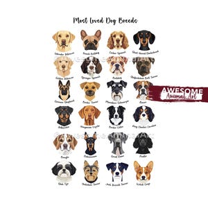 Collage de razas de perros, Impresión de perro, Póster de perro dibujado a mano, Regalo para amantes de los perros, Impresión divertida de perro, Regalo de arte canino, Regalo divertido, Póster de decoración del hogar A2 A3 A4