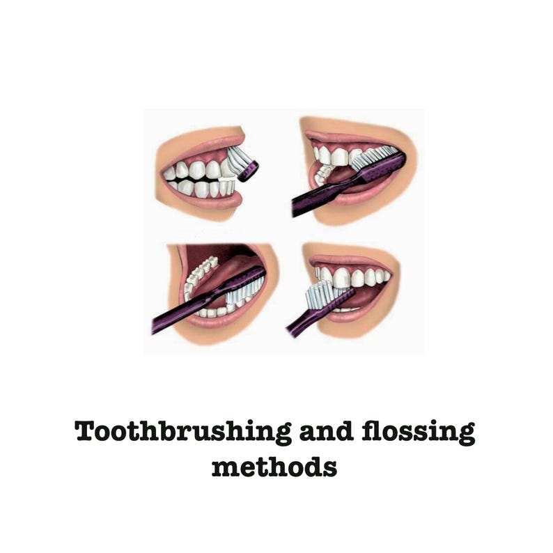 Toothbrushing and Flossing Methods - Etsy