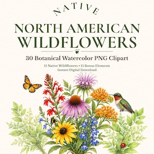May include: A digital collection of 30 botanical watercolor PNG clipart images titled NATIVE NORTH AMERICAN WILDFLOWERS. The graphic features a colorful arrangement of wildflowers, a monarch butterfly, a hummingbird, a bee, and a ladybug.