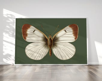 White Vintage Moth  Print | Cottagecore Saige Green Moth | Abstract Moth Decor | Eclectic Butterfly | Contemporary Moth | Classic Moth Decor