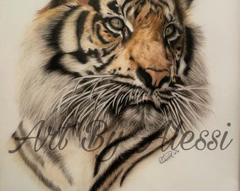 Dreamy Tiger Art: Original Coloured Pencil Drawing, Exotic Animal Art