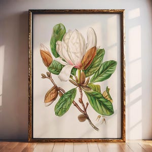 Magnolia Vintage Decor, Magnolia Gallery Portrait, Magnolia Digital Art, Magnolia Illustration Painting, Floral Home Print, Botanical Poster