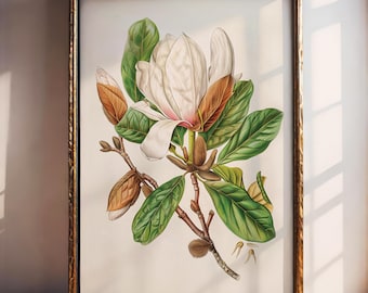 Magnolie Vintage Dekor, Magnolie Galerie Porträt, Magnolie Digitale Kunst, Magnolie Illustration Malerei, Floral Home Print, Botanisches Poster