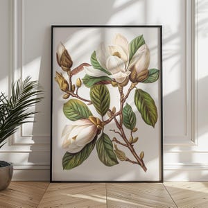 Stampa di illustrazione di magnolia, arte murale di magnolia, arredamento per la casa di magnolia, poster stampabile di magnolia, dipinto neutro di magnolia, ritratto di magnolia