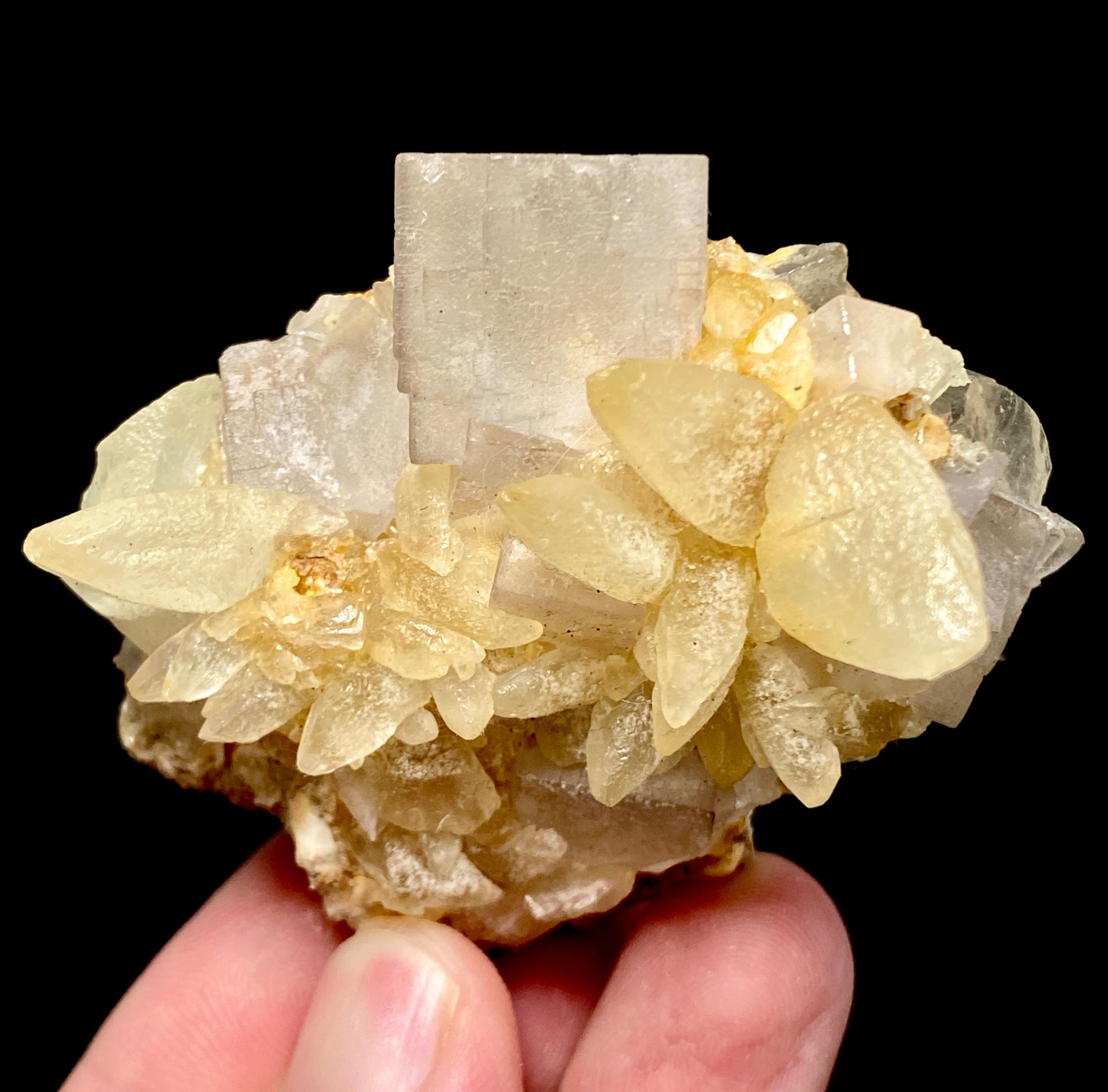 金色の方解石の上に蛍石 黄色蛍石上の方解石結晶 | 方解石入り金色蛍石