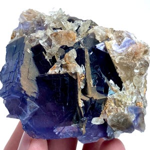 May include: A close-up of a natural fluorite mineral specimen. The specimen features deep purple and dark blue cubic crystals with clear quartz and brown calcite inclusions. The mineral is held in a hand.