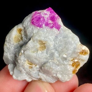 Puede incluir: Una pequeña roca gris rugosa con un grupo de cristales de rubí rosa brillante en la parte superior. La roca también tiene pequeños cristales dorados incrustados.