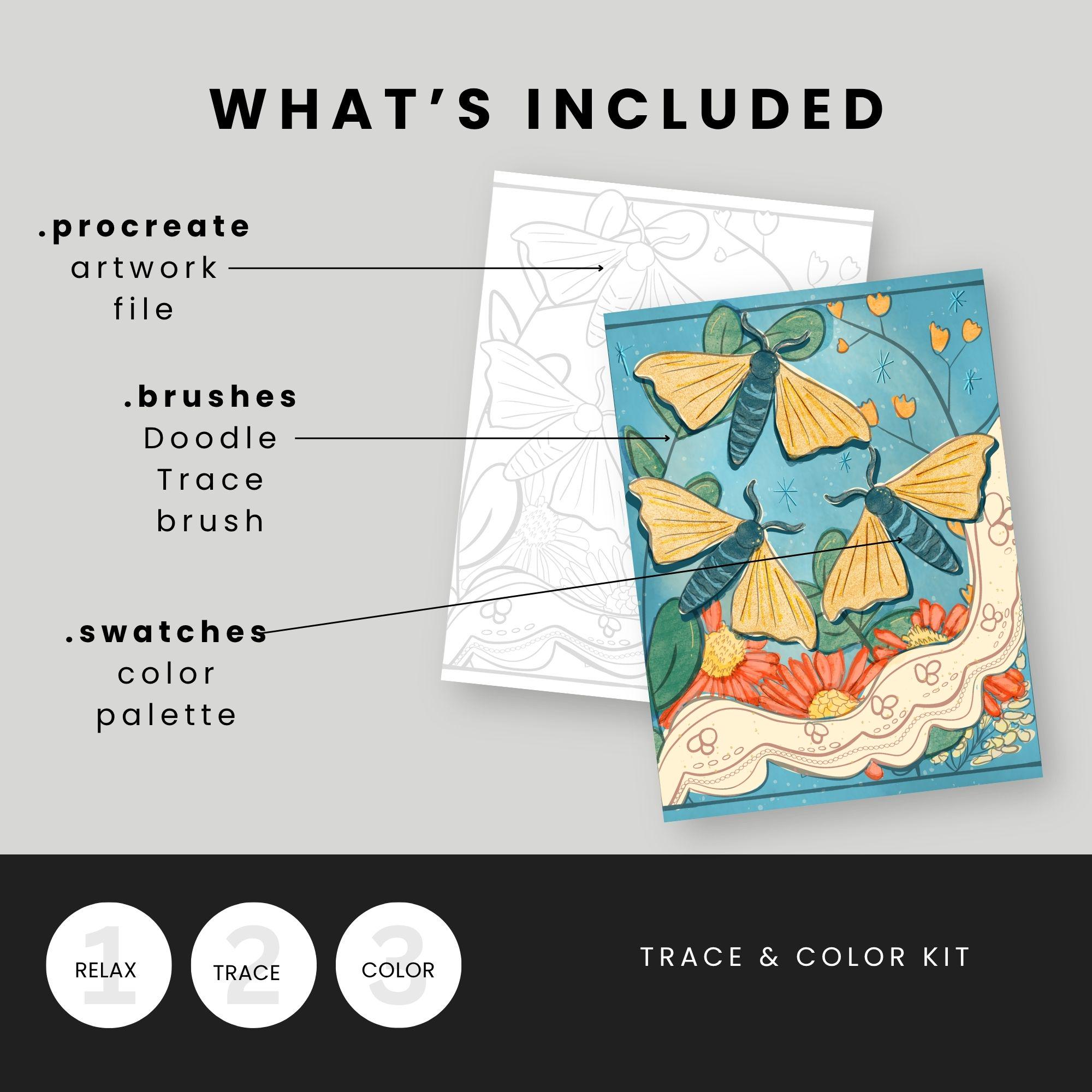 Moth Tracing Silk Moths Procreate Coloring Page | Trace and Lettering | Tools to ...