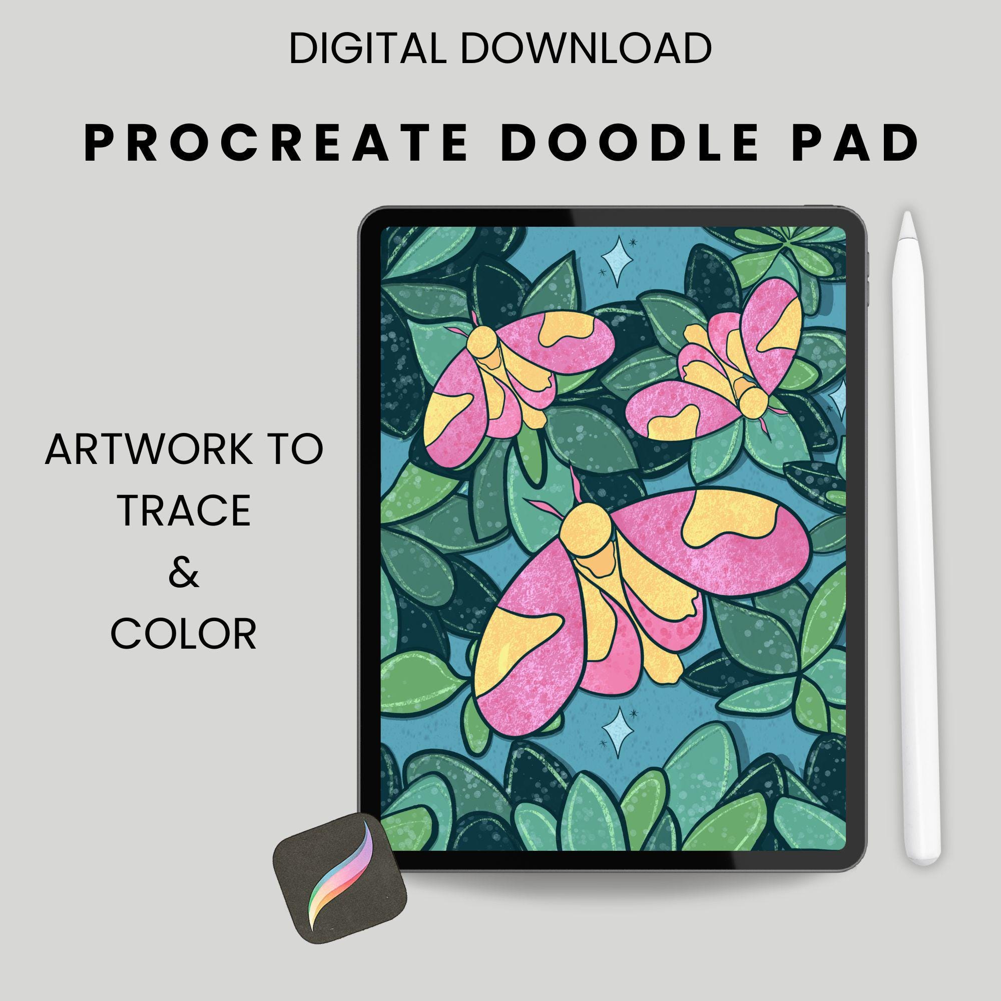 Moth Tracing Rosy Maple Moths Procreate Coloring Page | Trace and Lettering | Tools ...