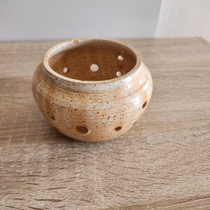 May include: A small, white ceramic planter with brown speckles and drainage holes. The planter has a rounded shape and a slightly flared rim.