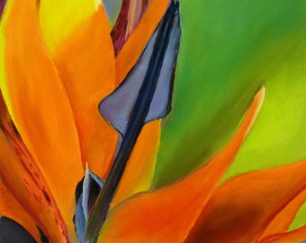 Tropical Bird of Paradise Flower - Original Pastel Painting