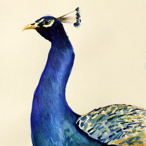 Peacock Watercolor Painting - 8&quot;x10&quot; - wall art home decor