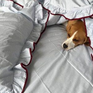 Lichtblauwe katoenen beddengoedset met gingham-ruit: dekbedovertrek met ruches en bordeauxrode afwerking slaapkamerdecoratie cottagecore boerderij