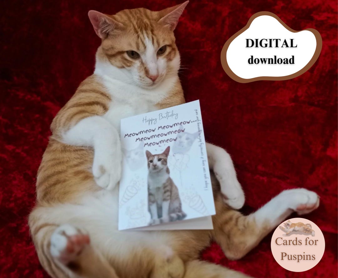 Printable Birthday Card Instant Download 7x5 Inch Card, Cat Birthday ...