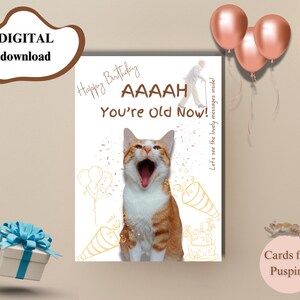 Printable Birthday Card Instant download 7x5 inch card , Birthday card, Cat Birthday Card, A5 Birthday Card