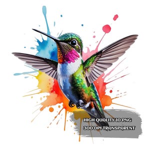 Watercolor Hummingbird Clipart: PNG, SVG, Art Prints (Digital Download)