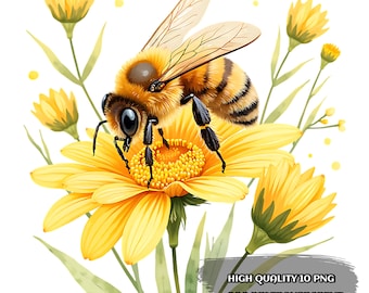 Watercolor Bee Clipart: Honeycomb & Floral Design (PNG, SVG Digital Download)