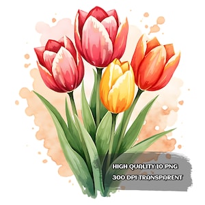 Watercolor Tulip Clipart: PNG Bouquet, Poster & SVG (Digital Download)