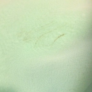 K&ouml;nnte beinhalten: Nahaufnahme einer hellgr&uuml;nen Stoffoberfl&auml;che mit einigen kleinen braunen Flecken.