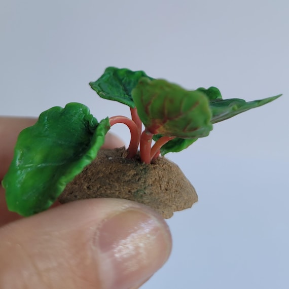 1:12 Miniature Rhubarb Plant – Handmade Dollhouse Garden Decor by TinySecretGardenArt