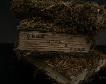 Libros de cuentos de hadas: Érase una vez - Moss
