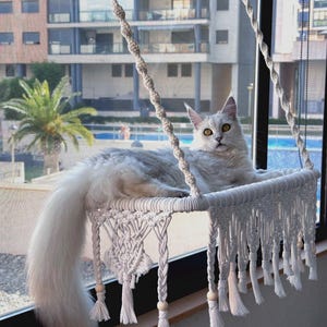Boho Macrame Cat Hammock: Organic Cotton Window Perch
