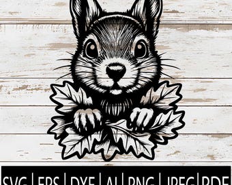 May include: Black and white illustration of a squirrel peeking over leaves. The squirrel has large eyes and detailed fur. The image includes the text "SVG | EPS | DXF | AI | PNG | JPEG | PDF" at the bottom.