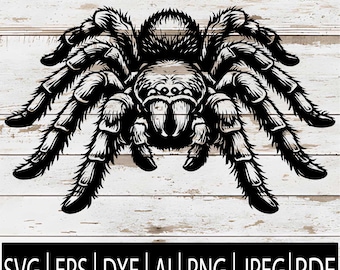 May include: A detailed black and white illustration of a tarantula spider with hairy legs and fangs. The image includes the text "SVG | EPS | DXF | AI | PNG | JPEG | PDF" at the bottom.